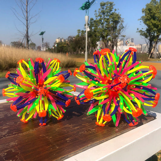 Magic Retractable Flower Ball Toy