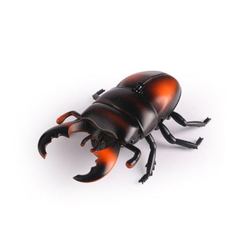 Beetle-orange
