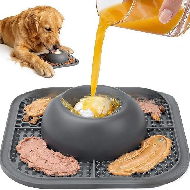 Slow Feeder Dog Bowl