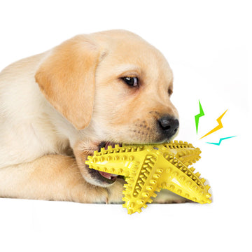 Yellow Starfish