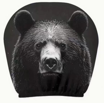 Black Bear