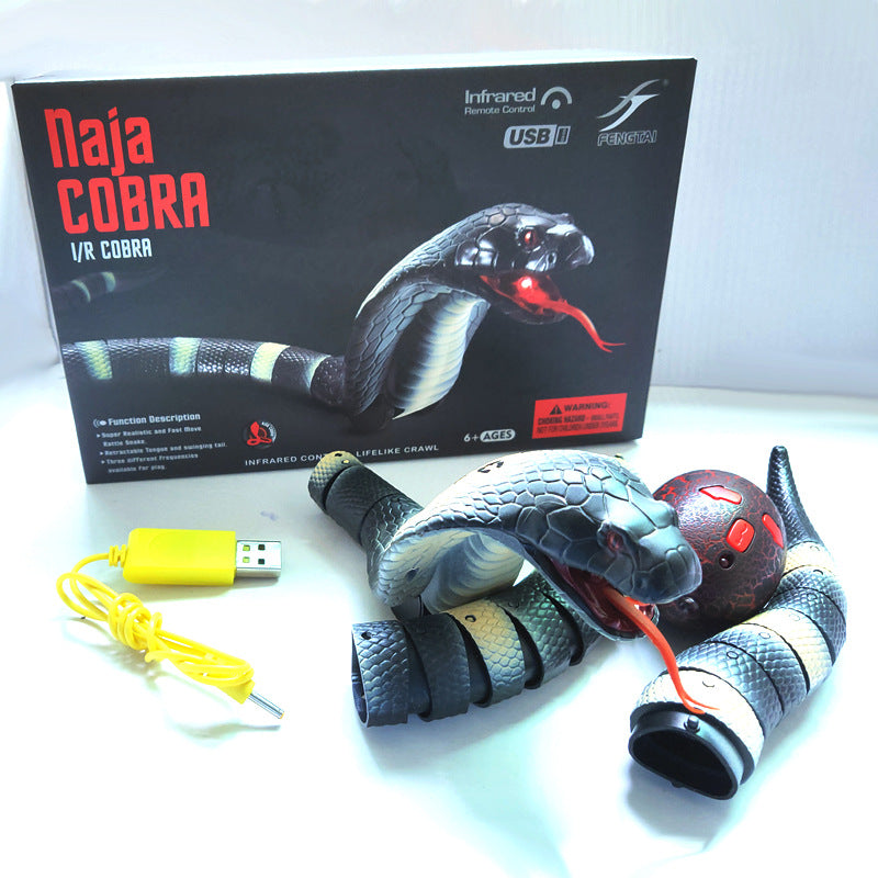 Electric cat toy