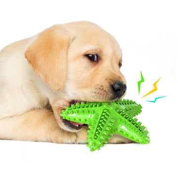 Green Starfish