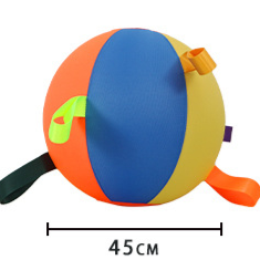 Inflatable Interactive Pet Ball