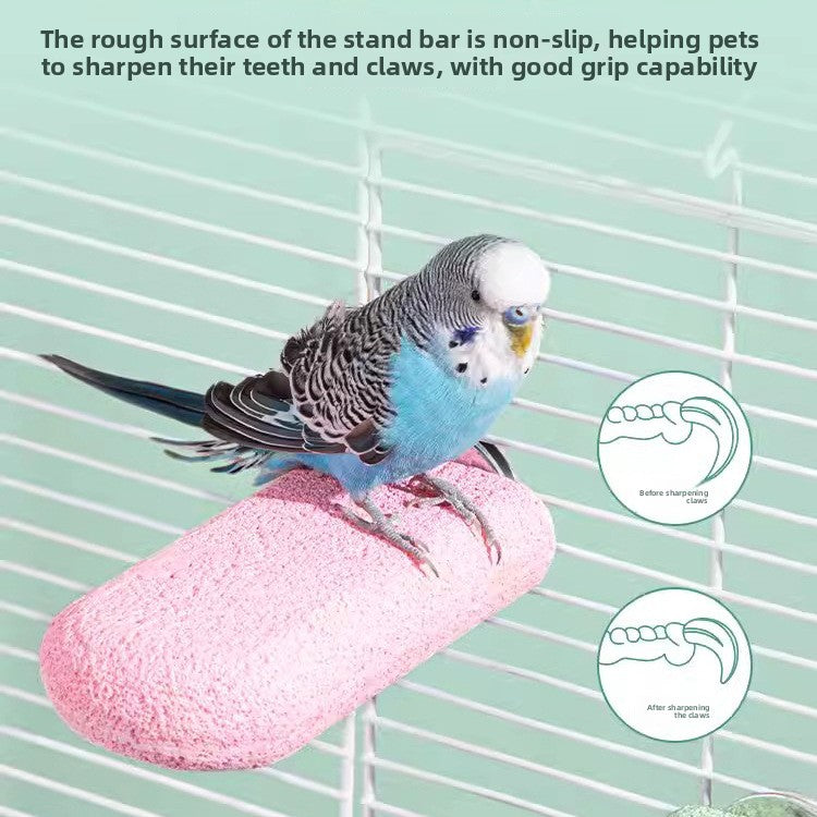 Parrot stands on the pole to sharpen its claws