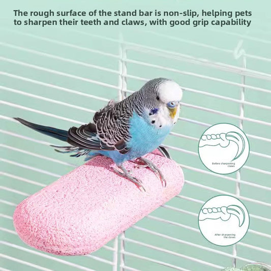 Parrot stands on the pole to sharpen its claws