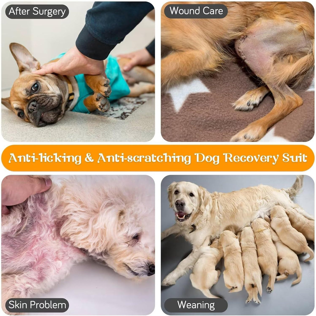 Pet Surgery Recovery Suit Anti Licking Jumpsuit