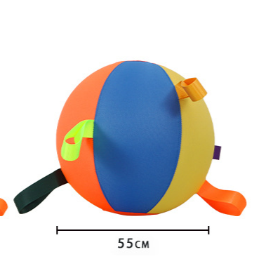 Inflatable Interactive Pet Ball
