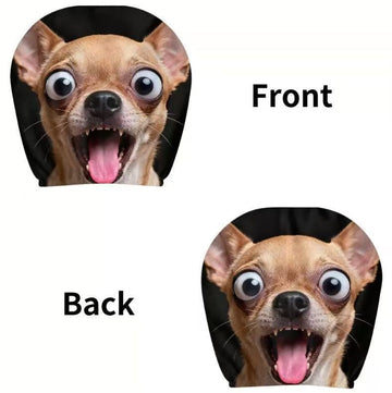 Screaming Chihuahua