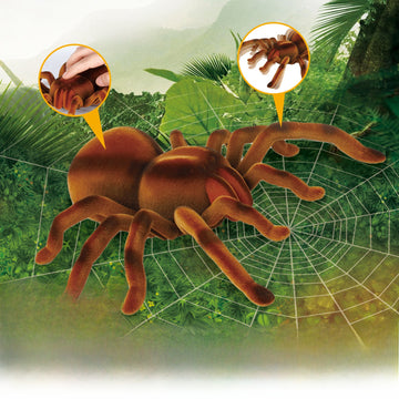 9986m  control spider-hairy surface