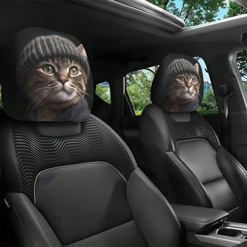 Knit Cap Cat