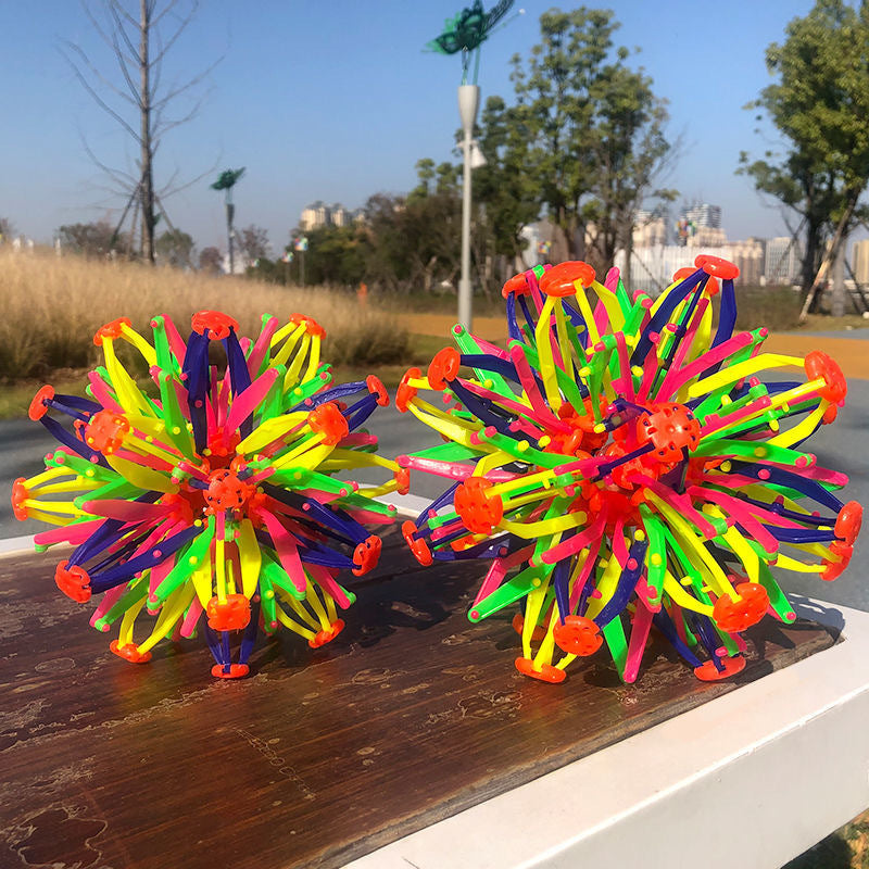 Magic Retractable Flower Ball Toy