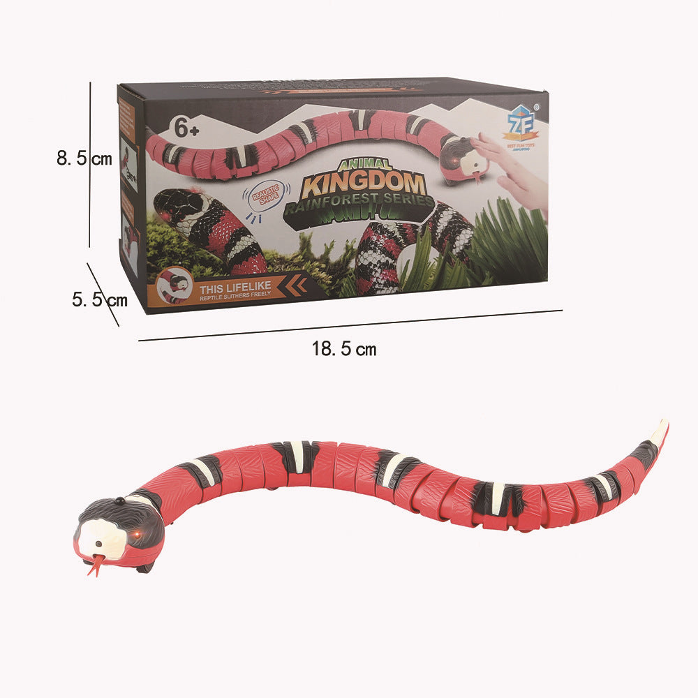 Electric cat toy