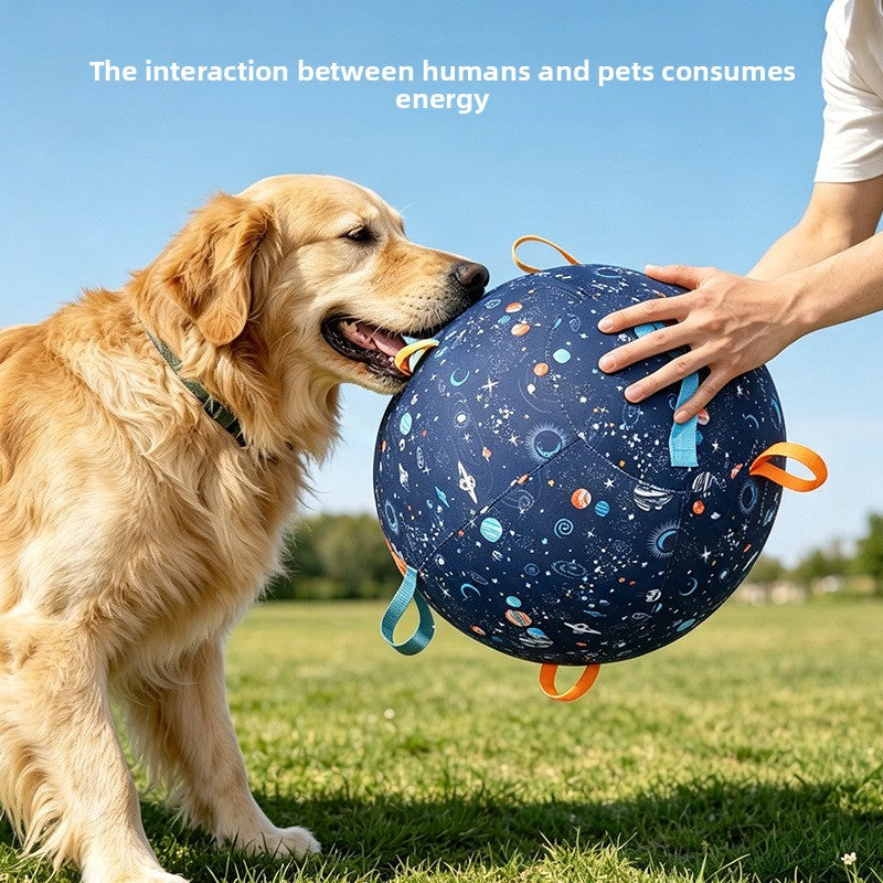 Inflatable Interactive Pet Ball